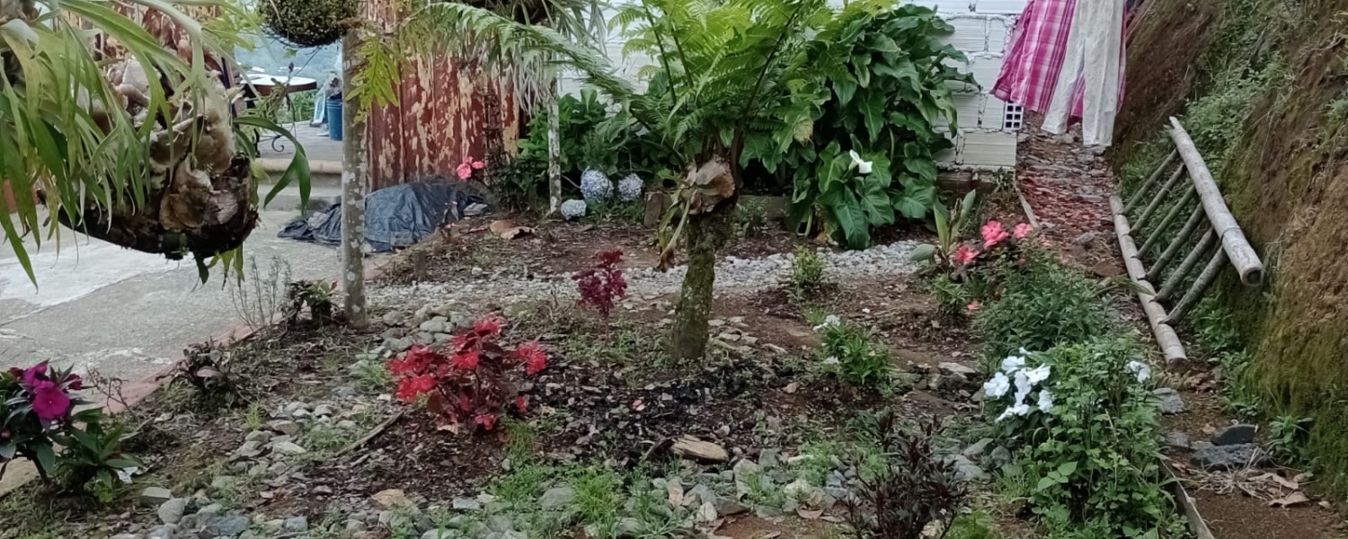 5 Bedrooms Bedrooms, ,2 BathroomsBathrooms,Finca,Venta,2442