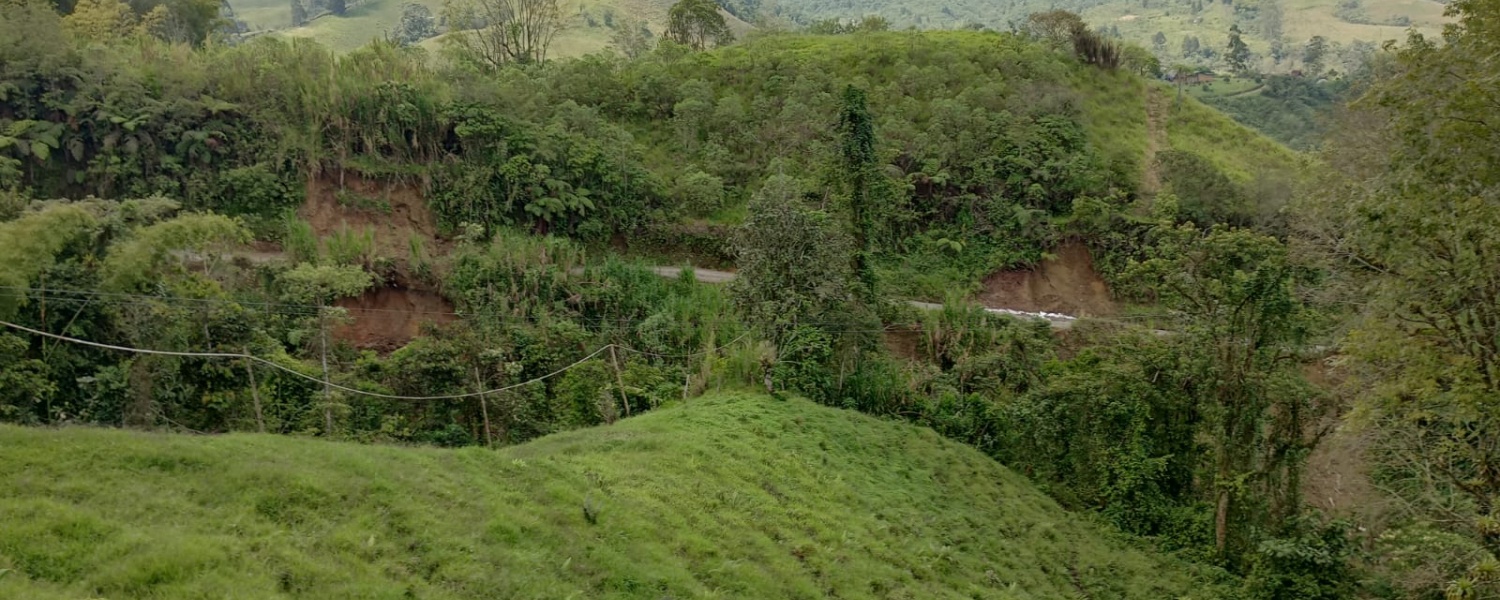 5 Bedrooms Bedrooms, ,2 BathroomsBathrooms,Finca,Venta,2442