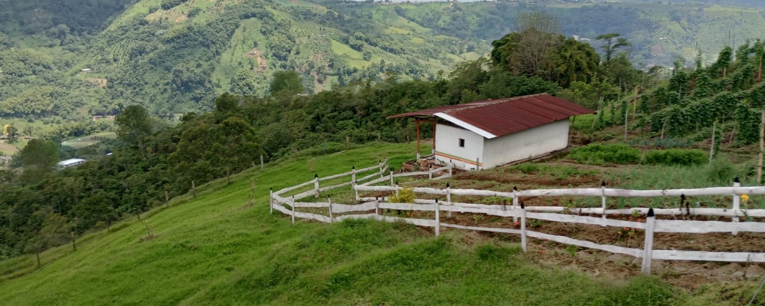 5 Bedrooms Bedrooms, ,2 BathroomsBathrooms,Finca,Venta,2442