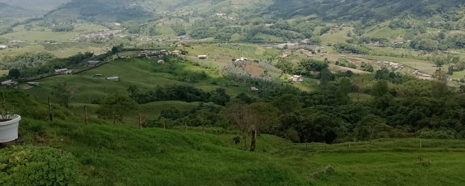 5 Bedrooms Bedrooms, ,2 BathroomsBathrooms,Finca,Venta,2442