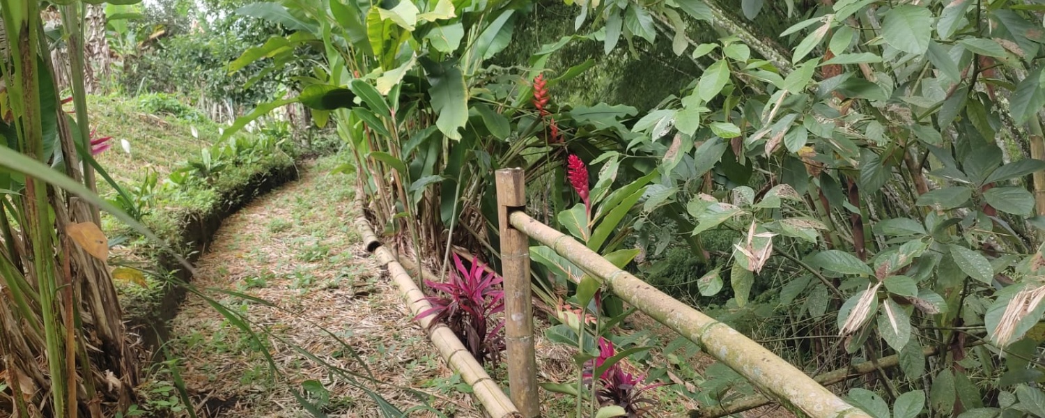 4 Bedrooms Bedrooms, ,4 BathroomsBathrooms,Lote,Venta,2549