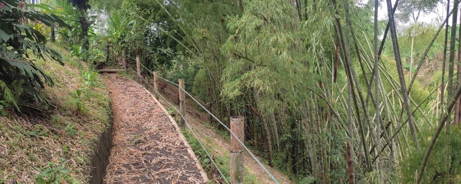 4 Bedrooms Bedrooms, ,4 BathroomsBathrooms,Lote,Venta,2549