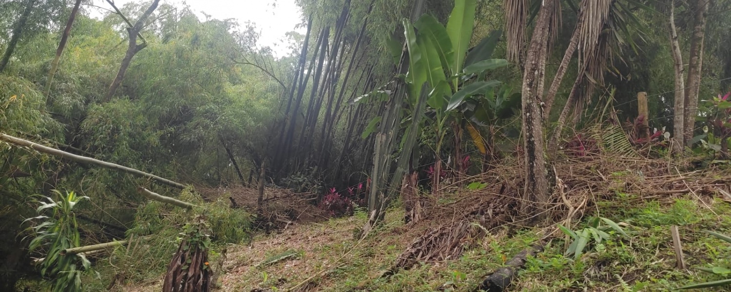 4 Bedrooms Bedrooms, ,4 BathroomsBathrooms,Lote,Venta,2549