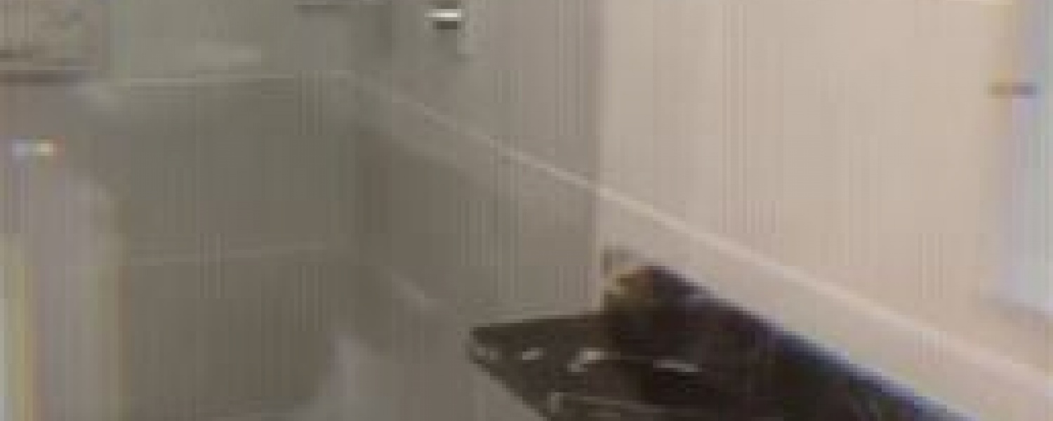 3 Bedrooms Bedrooms, ,2 BathroomsBathrooms,Apartamento,Venta,2788