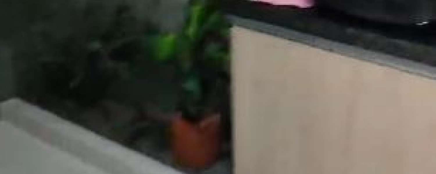 3 Bedrooms Bedrooms, ,3 BathroomsBathrooms,Casa,Venta,2813