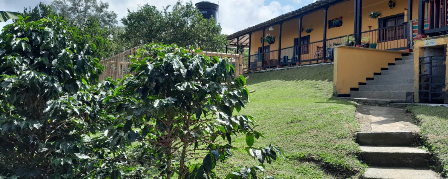 9 Bedrooms Bedrooms, ,5 BathroomsBathrooms,Finca,Venta,2827