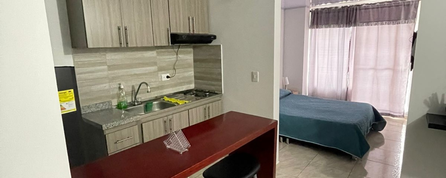 1 Dormitorio Bedrooms, ,1 BañoBathrooms,Apartestudio,Venta,2830