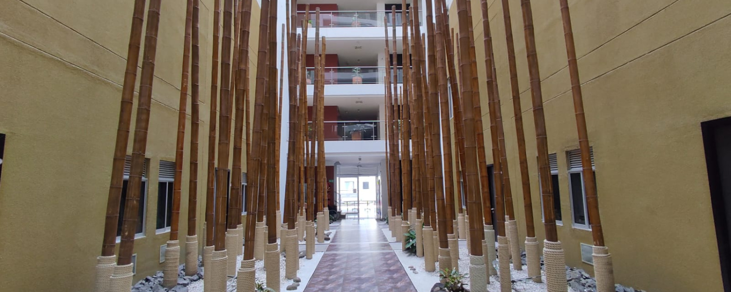 2 Bedrooms Bedrooms, ,2 BathroomsBathrooms,Apartamento,Renta,2856