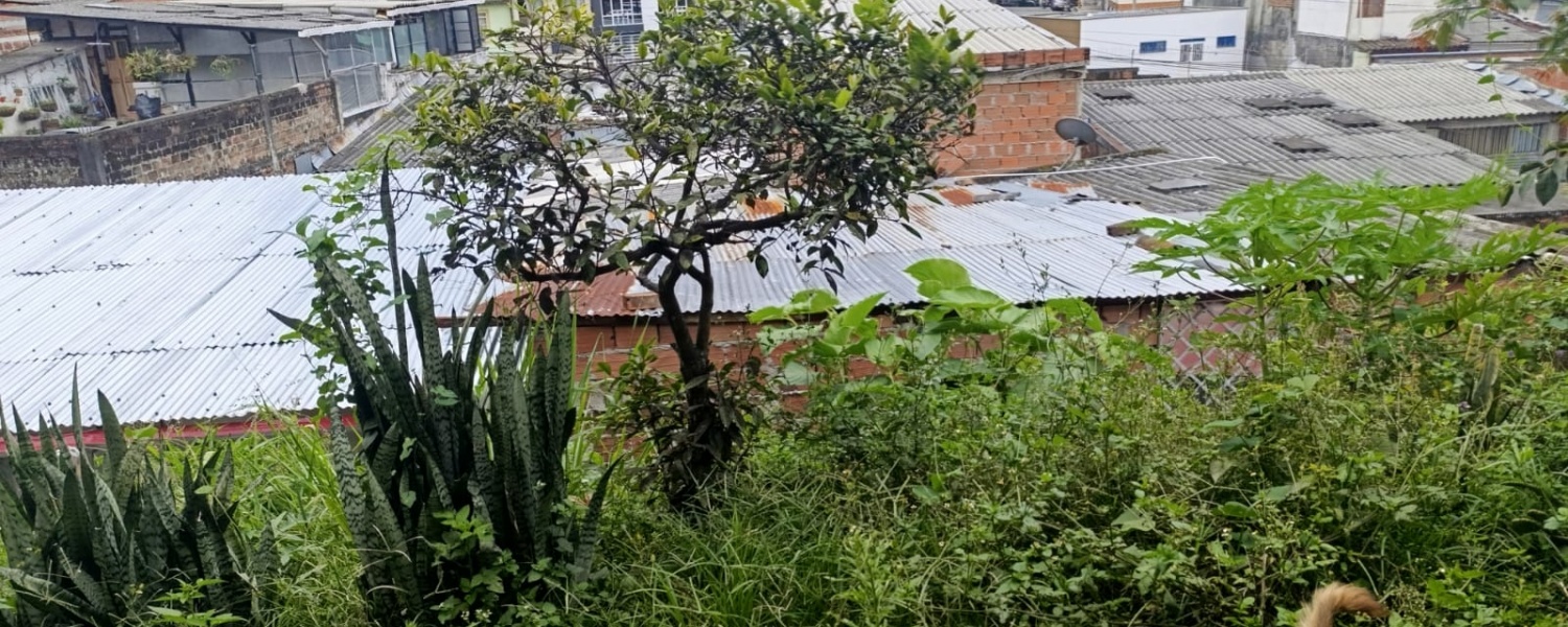 4 Bedrooms Bedrooms, ,2 BathroomsBathrooms,Casa,Venta,2859