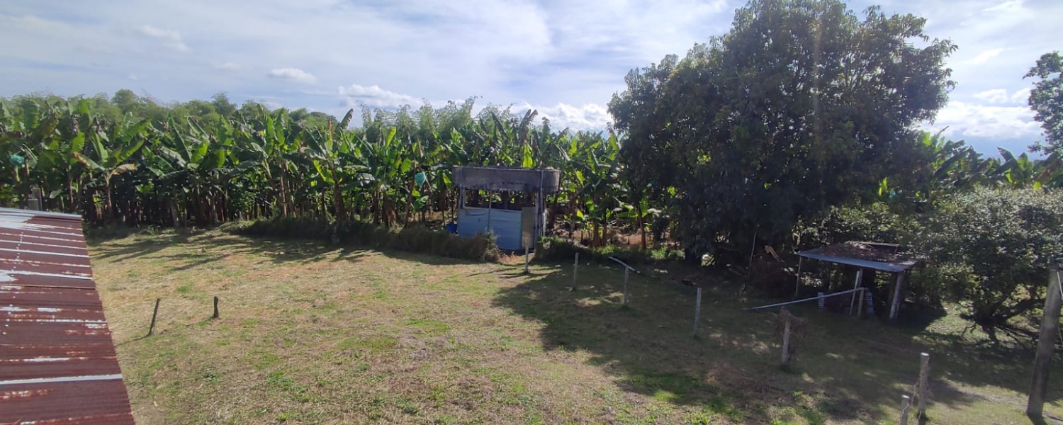 6 Bedrooms Bedrooms, ,2 BathroomsBathrooms,Finca,Venta,2905