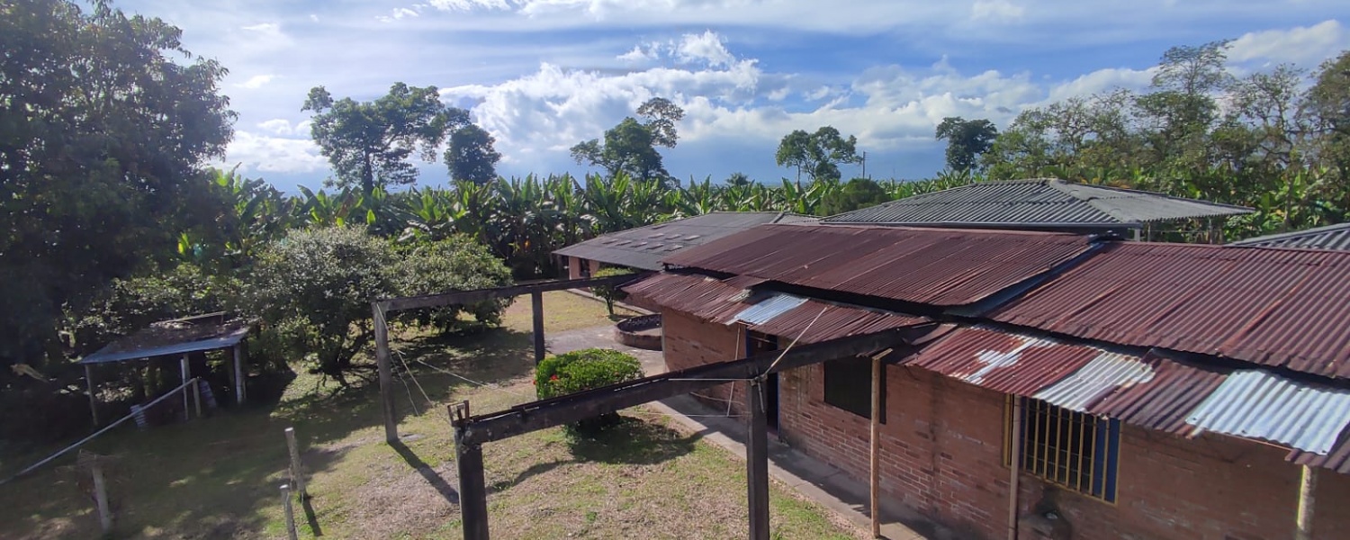 6 Bedrooms Bedrooms, ,2 BathroomsBathrooms,Finca,Venta,2905