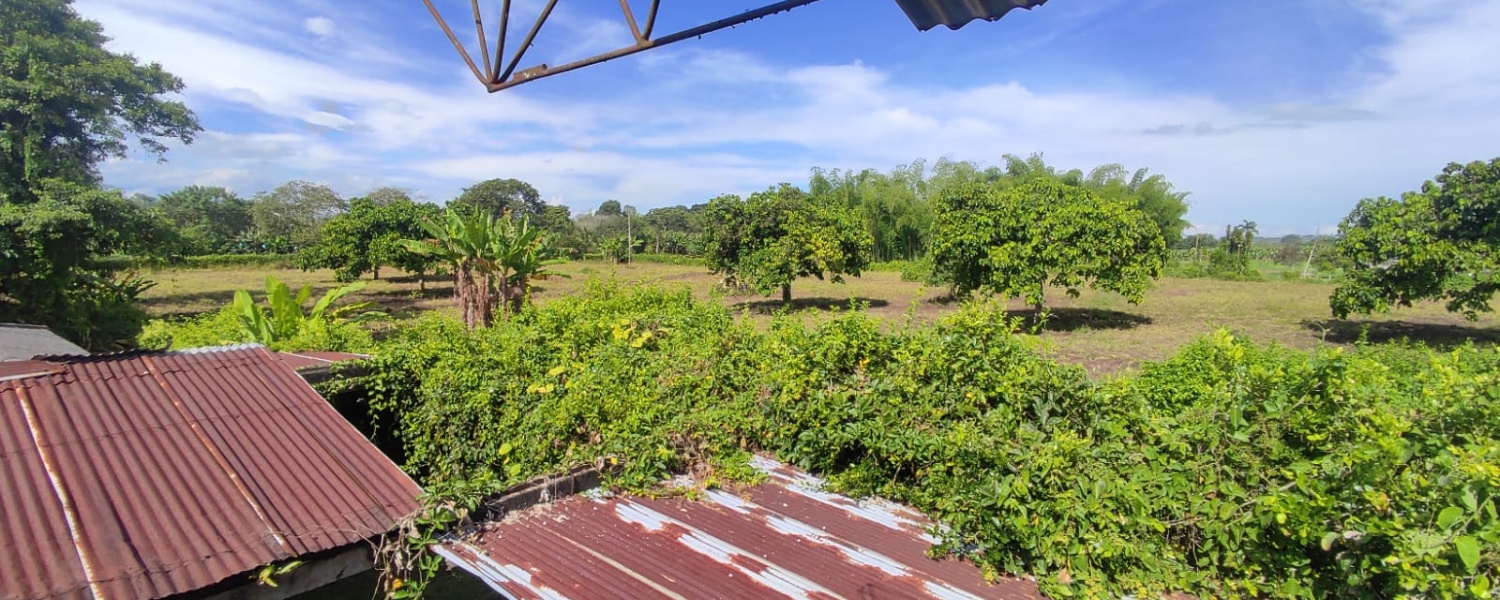 6 Bedrooms Bedrooms, ,2 BathroomsBathrooms,Finca,Venta,2905