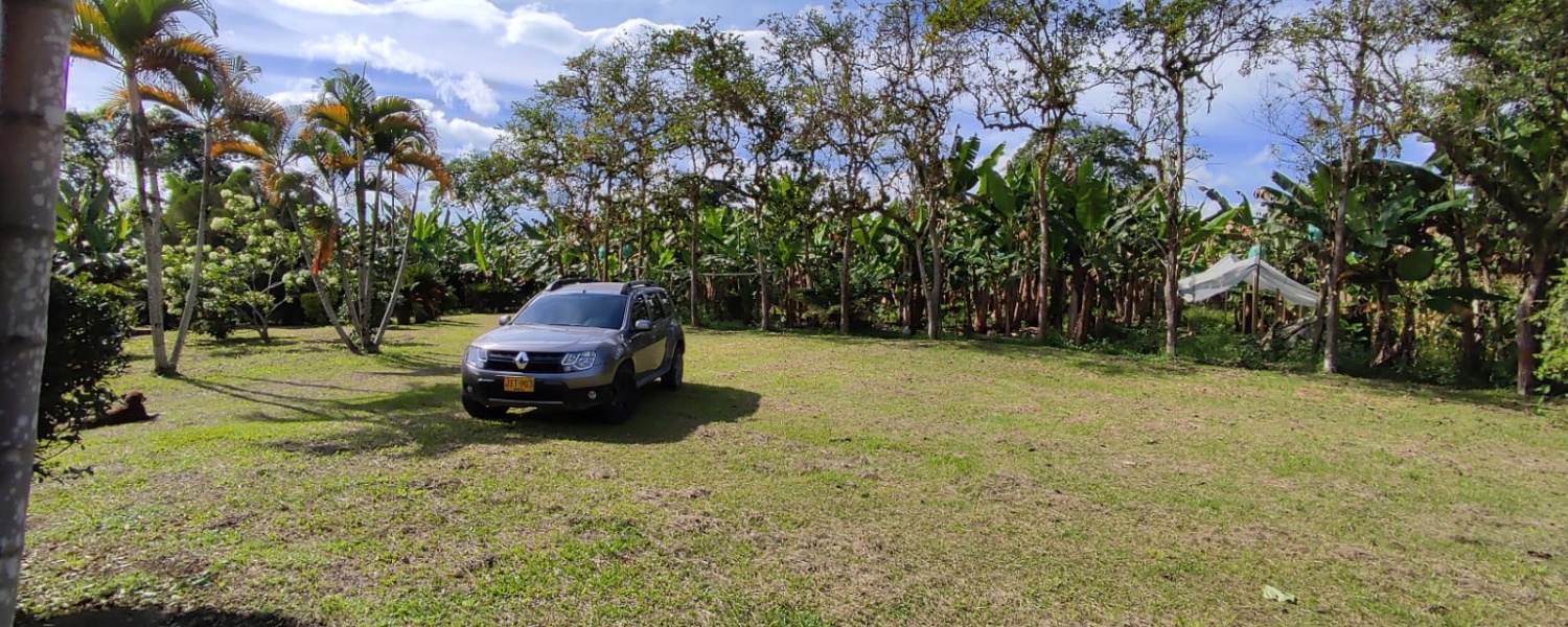 6 Bedrooms Bedrooms, ,2 BathroomsBathrooms,Finca,Venta,2905