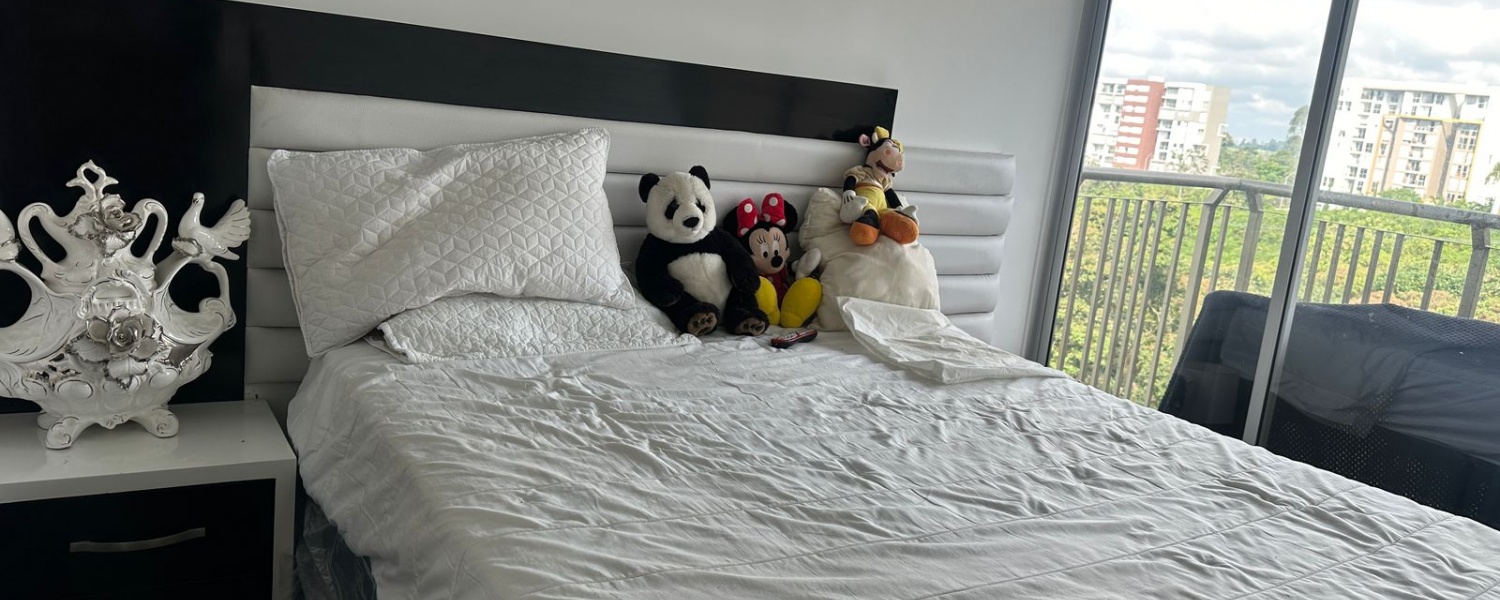 3 Bedrooms Bedrooms, ,2 BathroomsBathrooms,Apartamento,Venta,2933