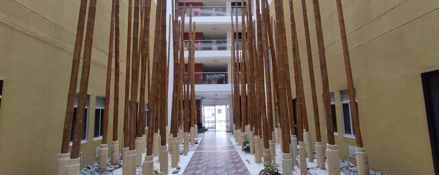 2 Bedrooms Bedrooms, ,1 BañoBathrooms,Apartamento,Renta,2960