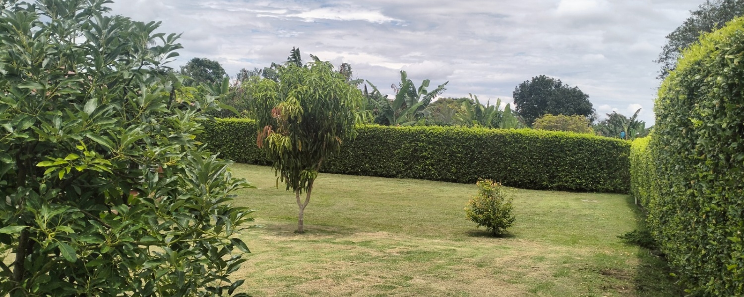 3 Bedrooms Bedrooms, ,2 BathroomsBathrooms,Casa campestre,Venta,2967