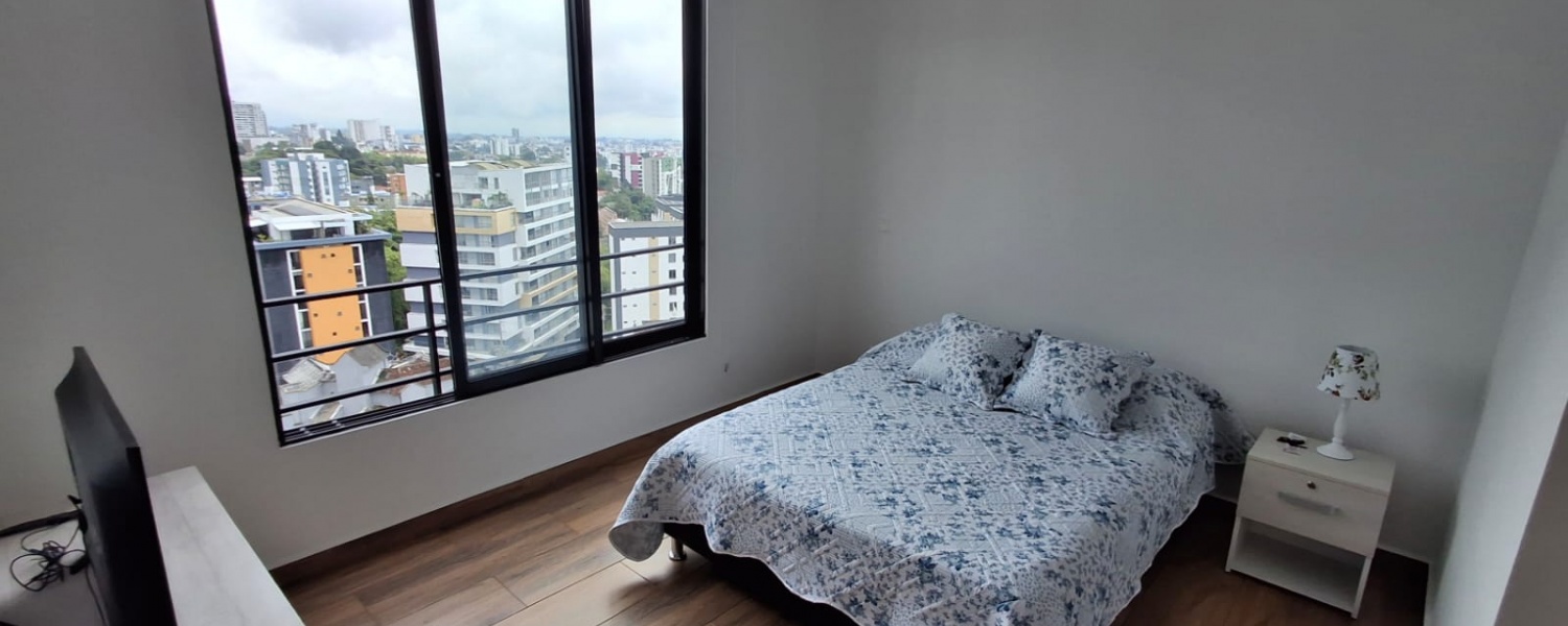 2 Bedrooms Bedrooms, ,2 BathroomsBathrooms,Apartamento,Venta,2974