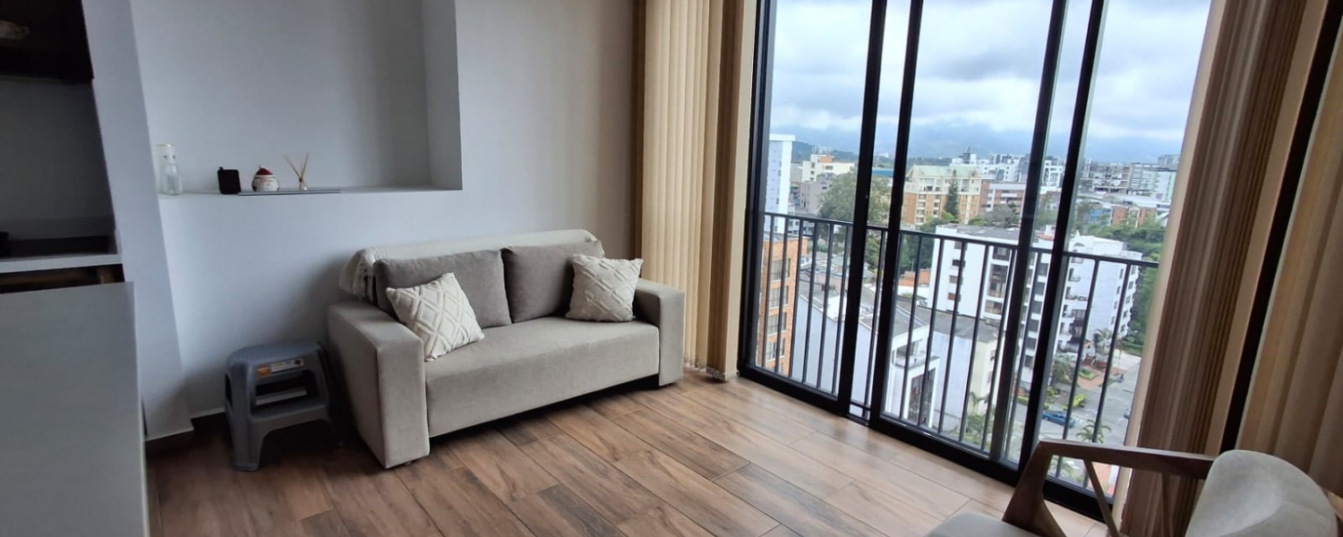 2 Bedrooms Bedrooms, ,2 BathroomsBathrooms,Apartamento,Venta,2974