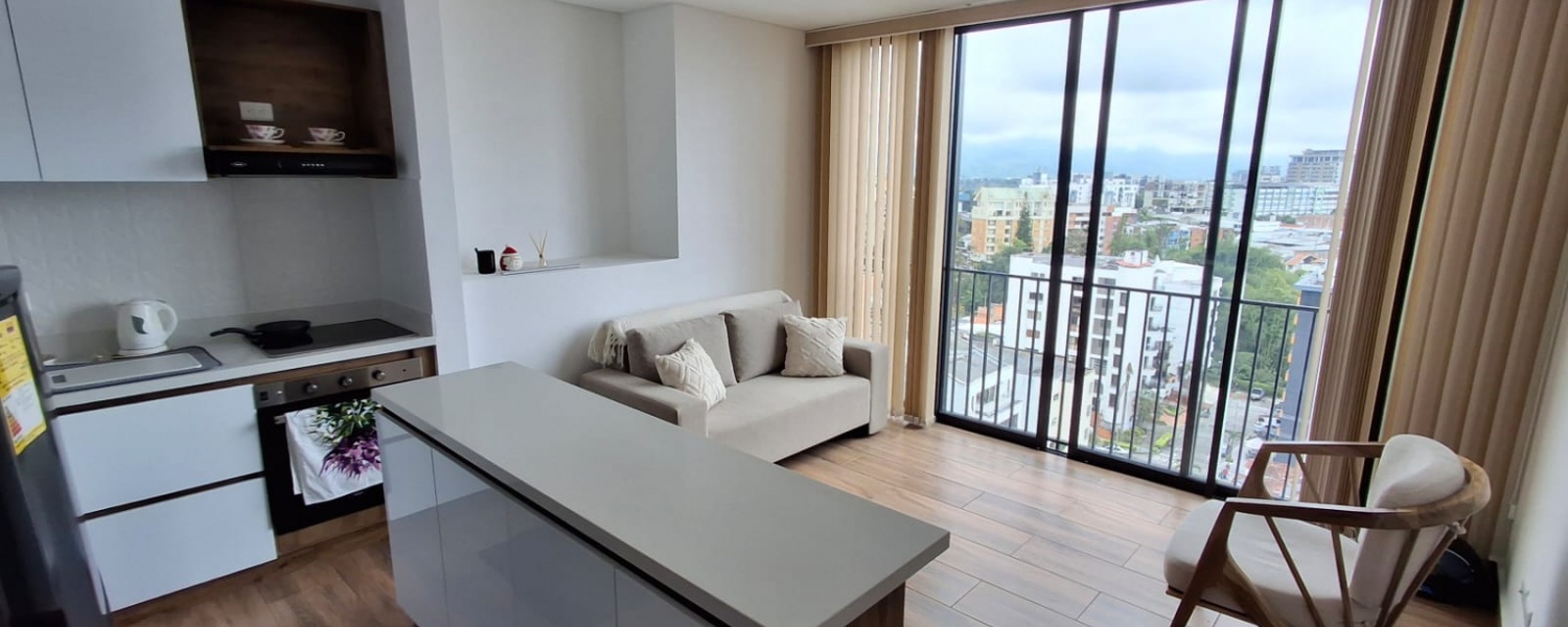 2 Bedrooms Bedrooms, ,2 BathroomsBathrooms,Apartamento,Venta,2974