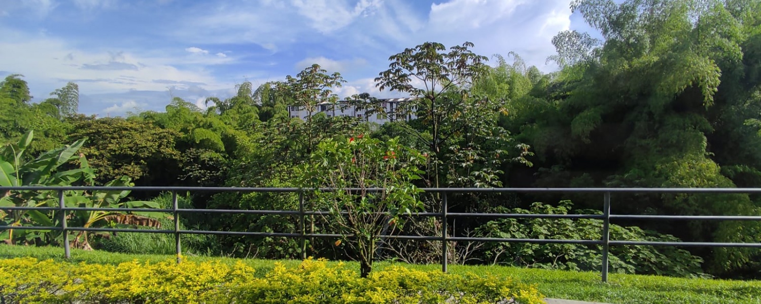 3 Bedrooms Bedrooms, ,1 BañoBathrooms,Apartamento,Renta,3006