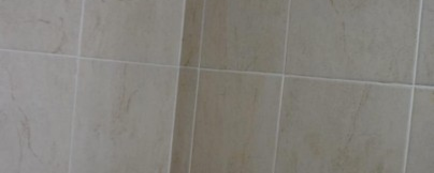 2 Bedrooms Bedrooms, ,1 BañoBathrooms,Apartamento,Venta,3023