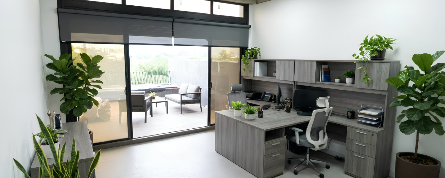 1 Dormitorio Bedrooms, ,1 BañoBathrooms,Oficina,Renta,3029