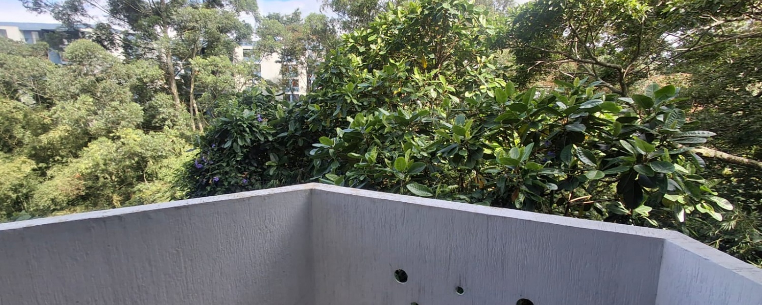 1 Dormitorio Bedrooms, ,1 BañoBathrooms,Apartestudio,Renta,1572