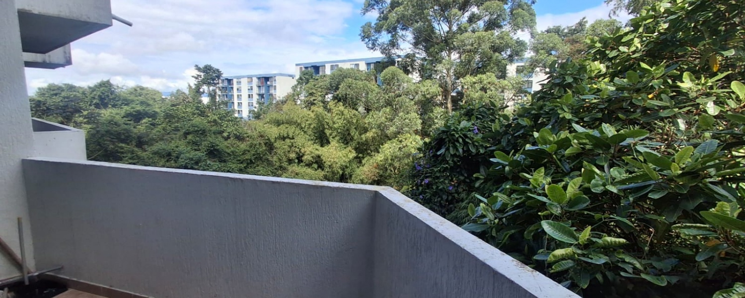 1 Dormitorio Bedrooms, ,1 BañoBathrooms,Apartestudio,Renta,1572